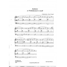Andante ur Violinkonsert e-moll / F Mendelssohn